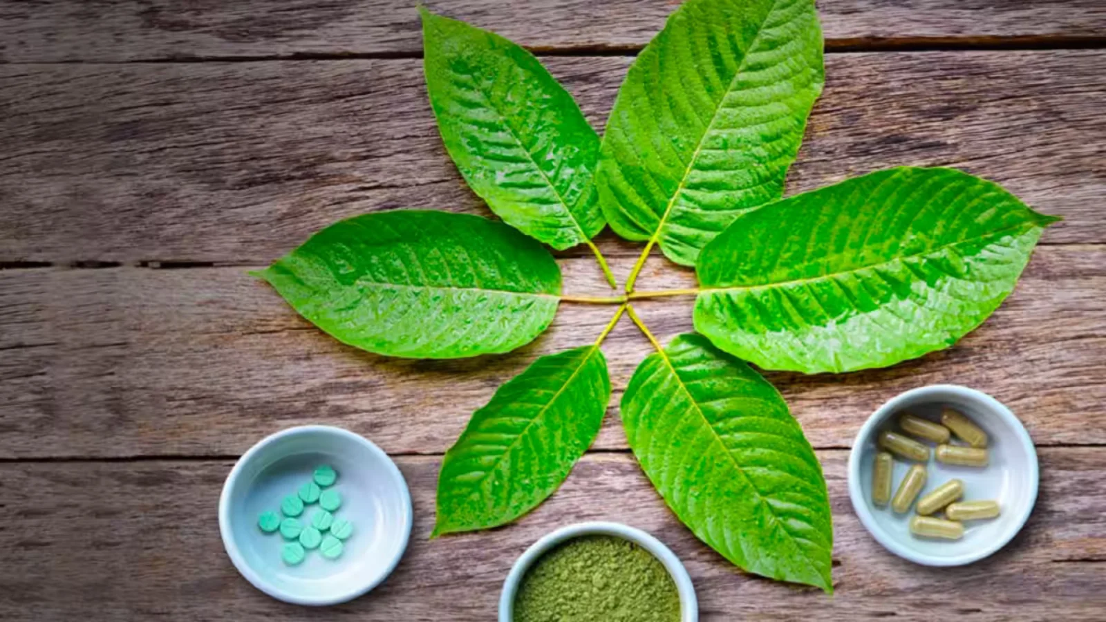 Understanding Kratom Alkaloids: Nature’s Potent Compounds