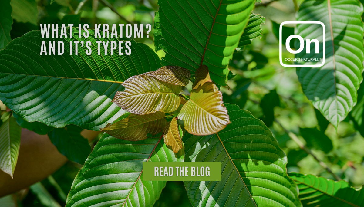 Kratom Types: Understanding the Different Varieties