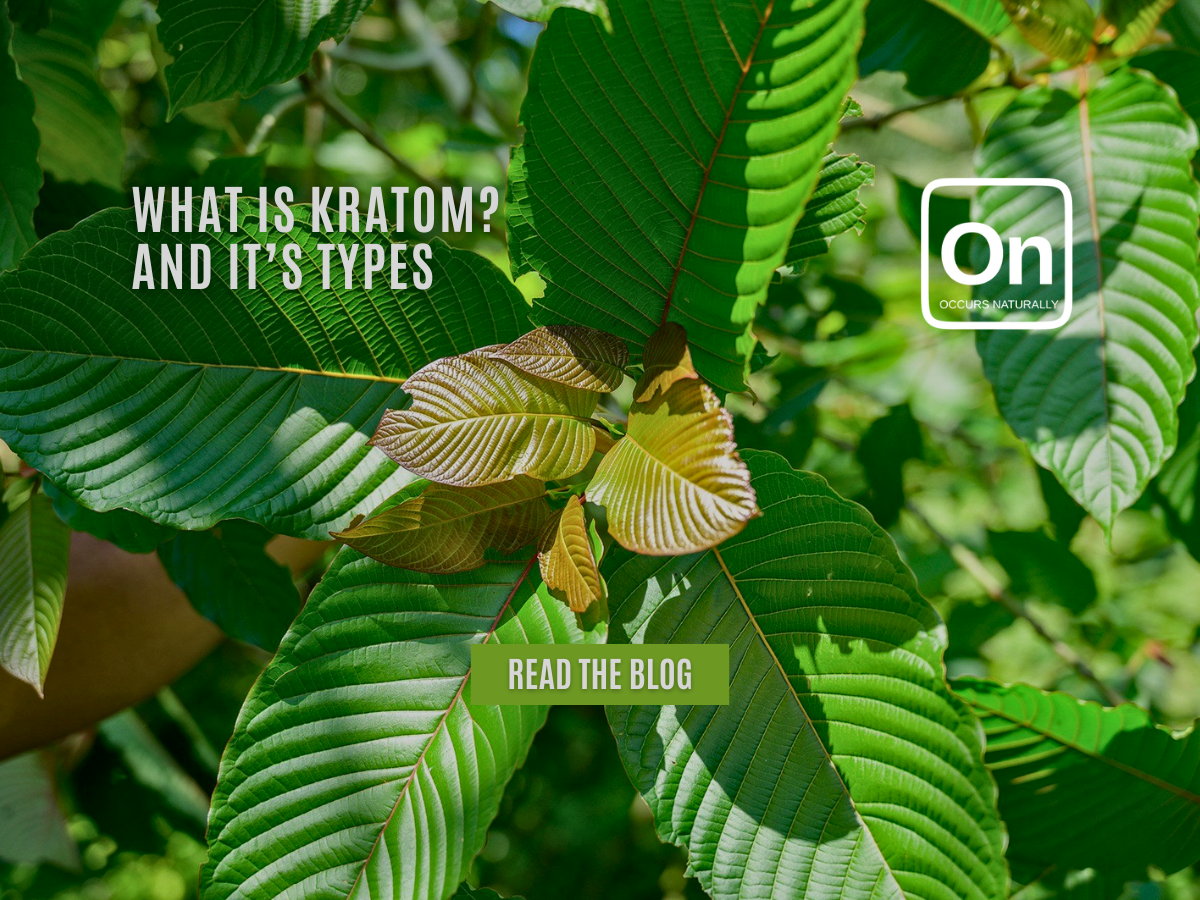 Kratom Types: Understanding the Different Varieties