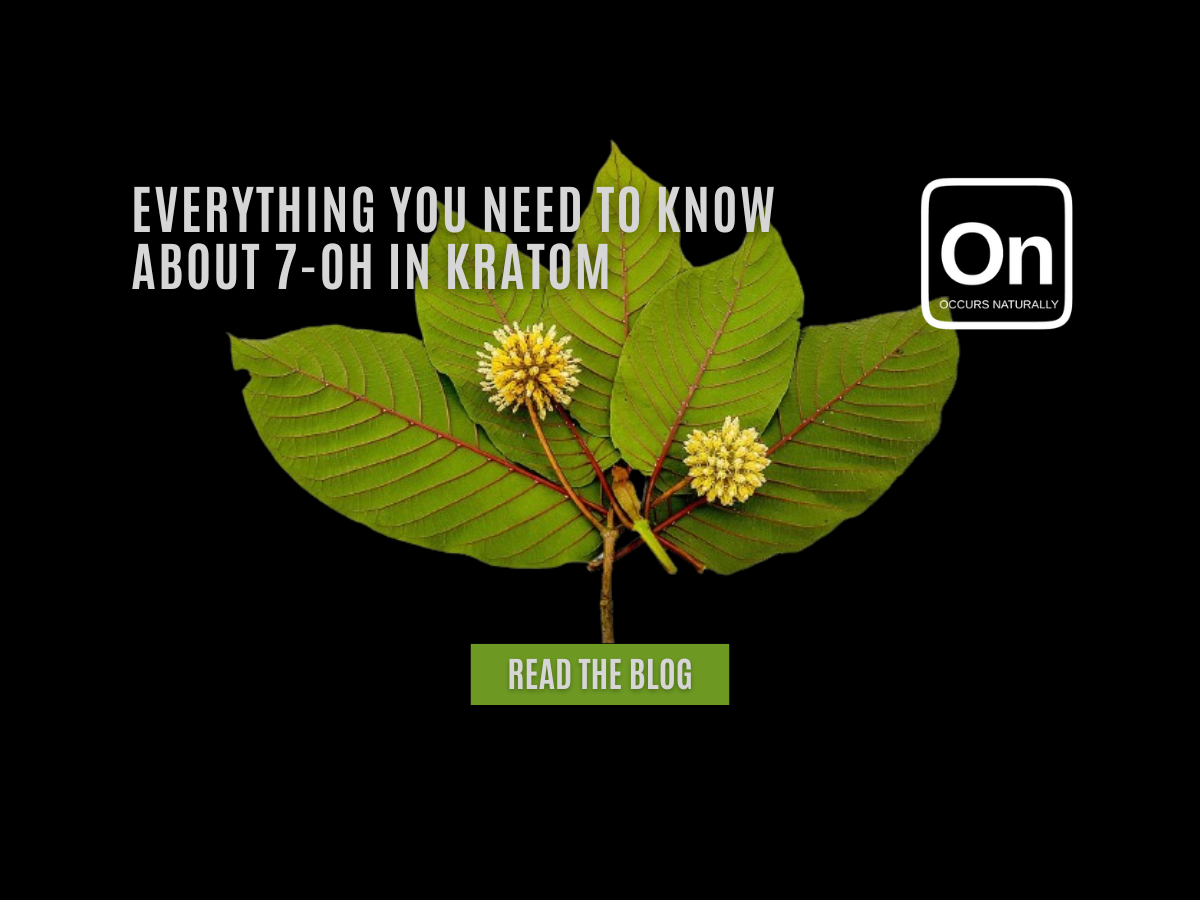 Everything You Need to Know About 7OH in Kratom