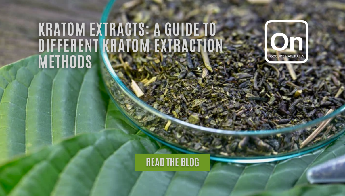 Kratom Extracts: A Guide to Different Extraction Methods