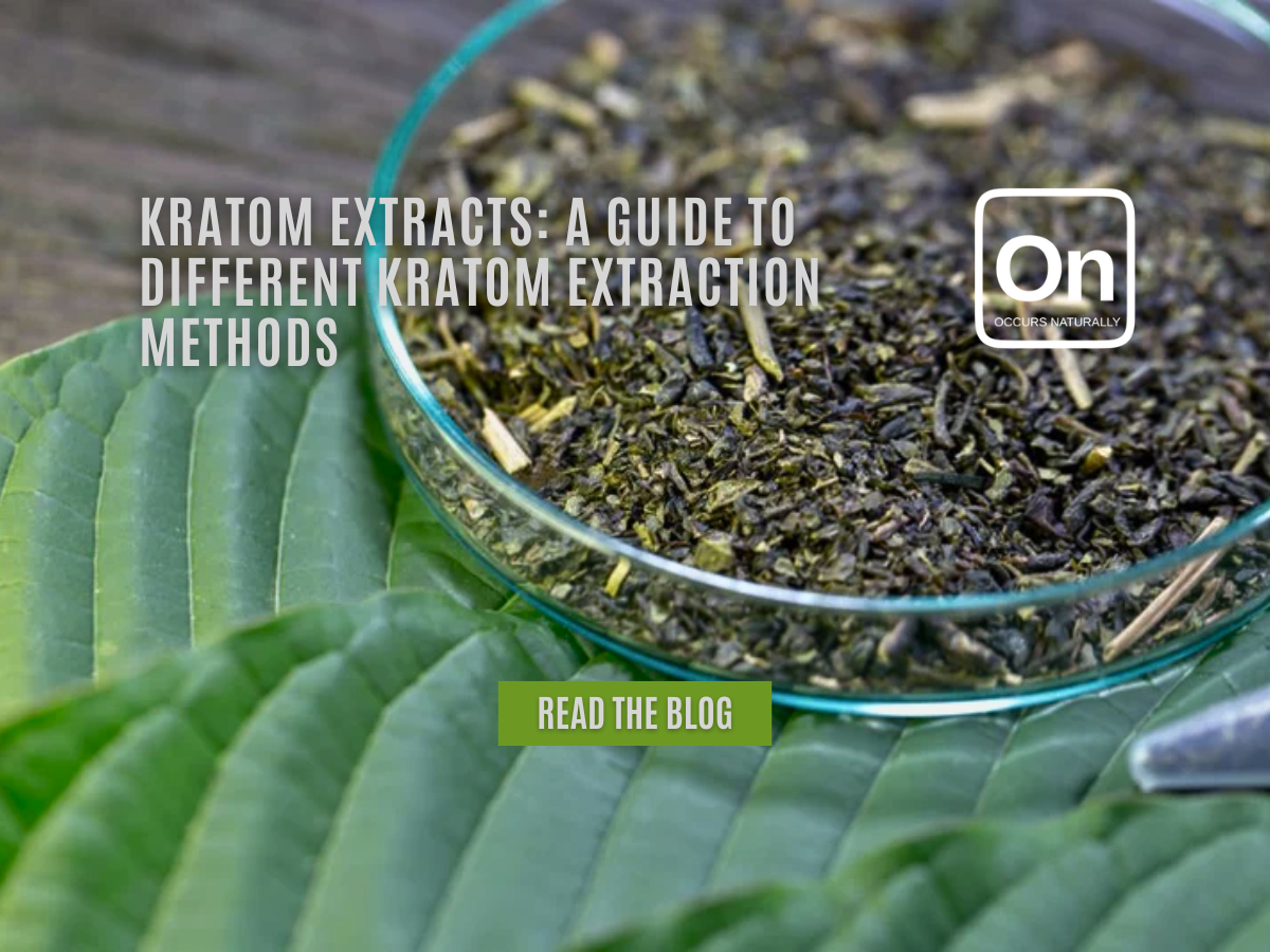 Kratom Extracts: A Guide to Different Extraction Methods