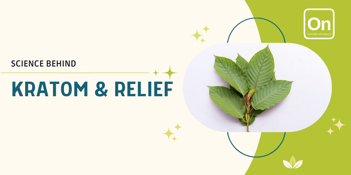 The Science Behind Kratom and Relief: What You Need to Know