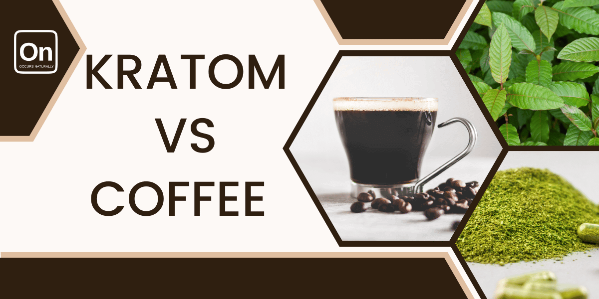 Kratom vs Coffee: What Is Better For Energy?