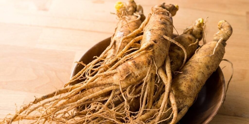 ginseng