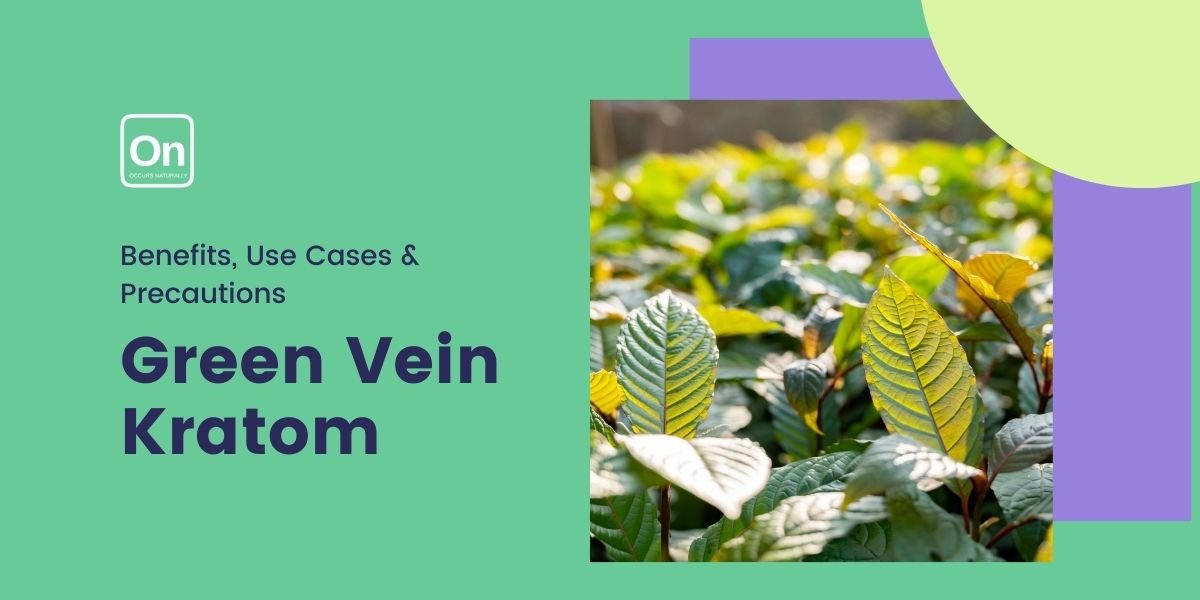 Green Vein kratom: Benefits, Uses, and Precautions