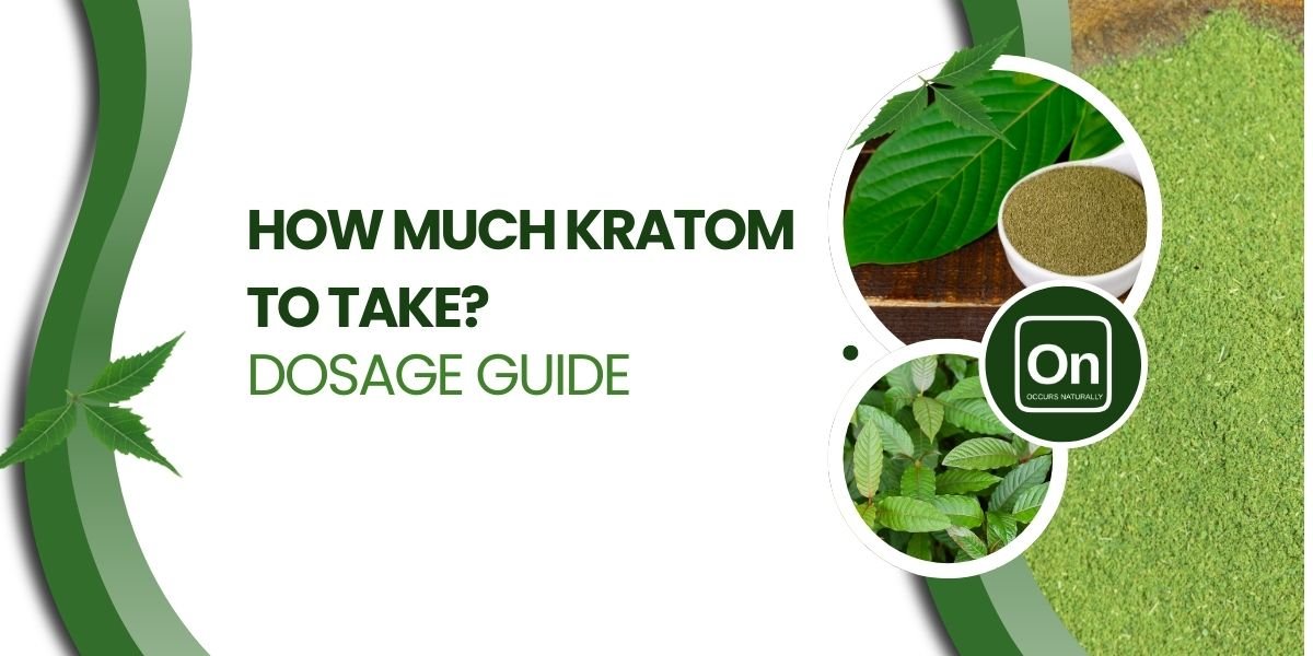 How Much Kratom To Take? Dosage Guide