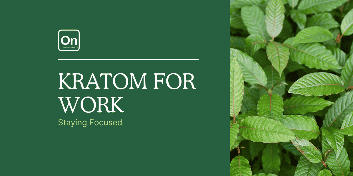 Kratom for Work: Staying Focused in a Distracting Environment