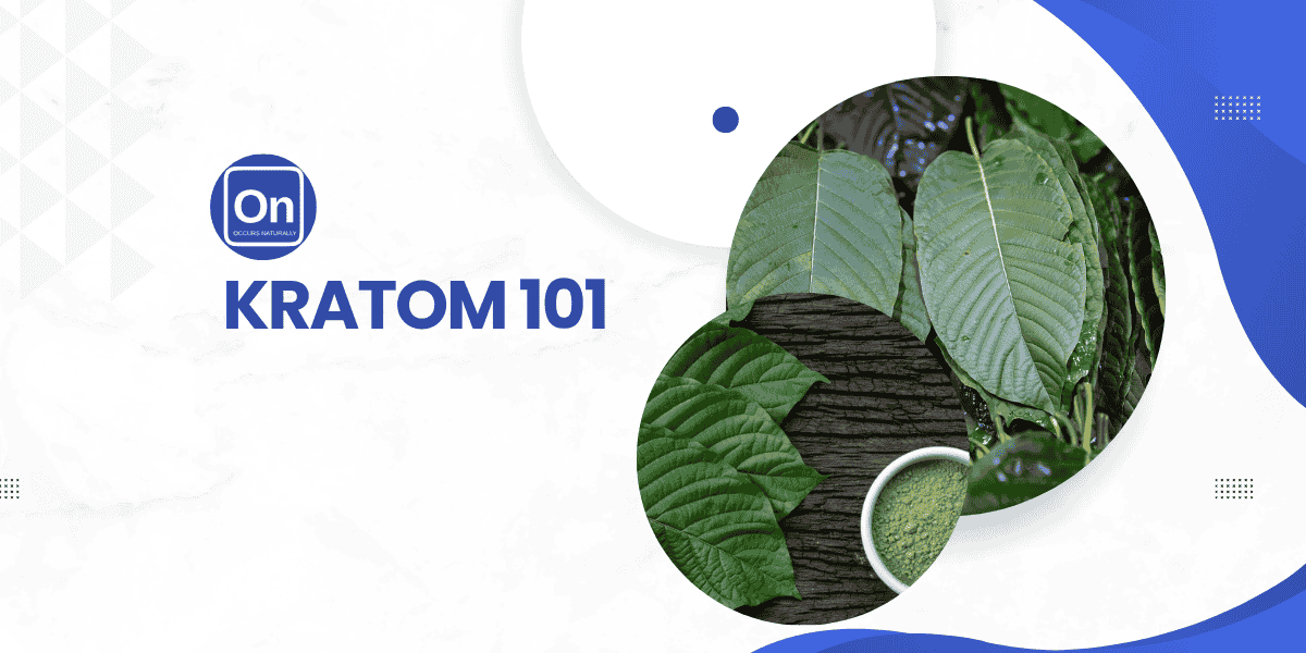 Kratom 101: Surprising Kratom Benefits You Need to Know