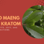 Red Maeng Da Kratom: Benefits, Uses, and Precautions