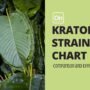 Kratom Strain Chart: Comparison and Effects Explained