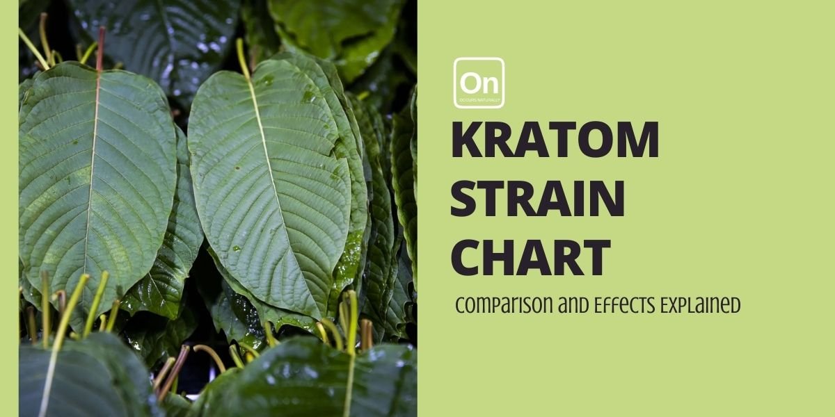 Kratom Strain Chart: Comparison and Effects Explained