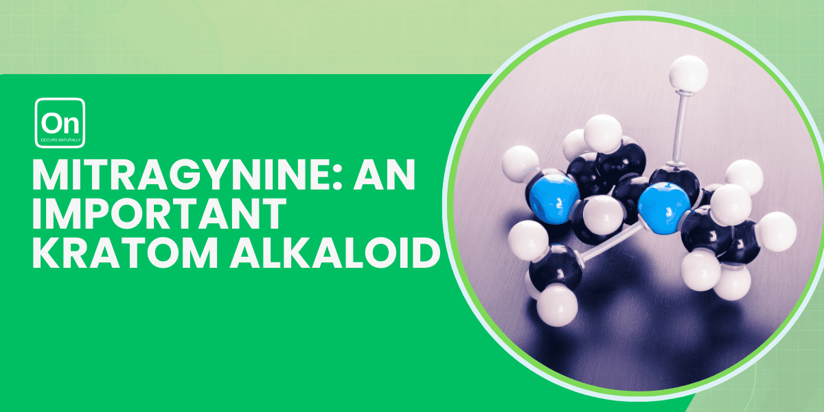 Mitragynine: An Important Kratom Alkaloid