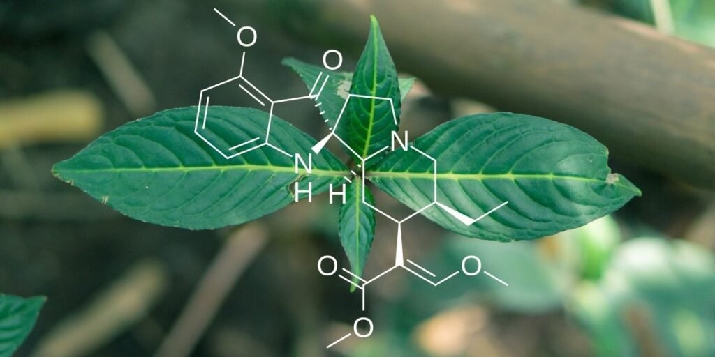 how 7-hydroxymitragynine is formed