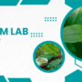 Guide To Kratom Lab Results