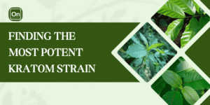 FINDING THE MOST POTENT KRATOM STRAINs