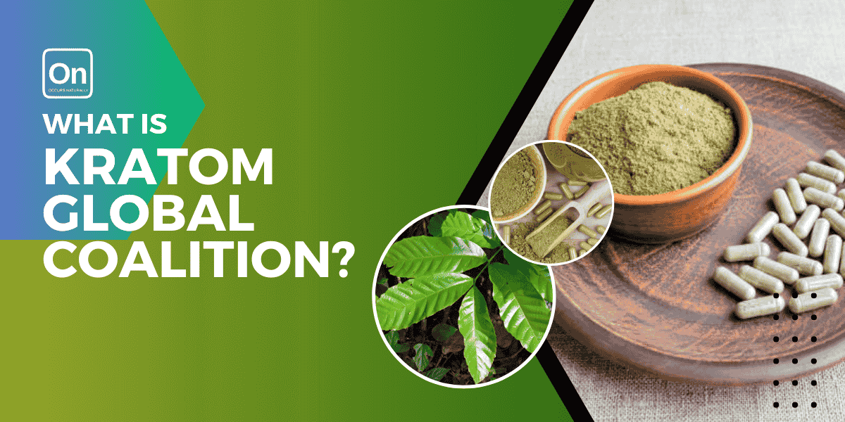 What Is Kratom Global Coalition?