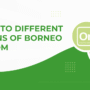 Guide to Different Strains of Borneo Kratom