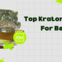 Top Kratom Strain For Beverage