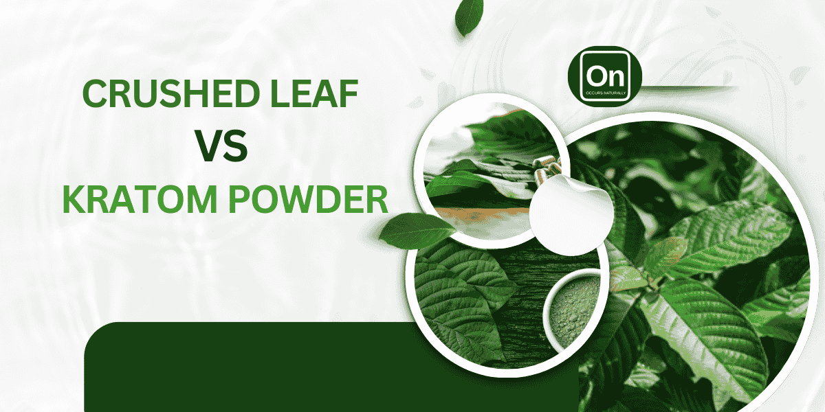 Crushed Leaf vs Kratom Powder: Difference and Benefits