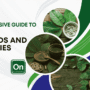 Comprehensive Guide To Kratom Alkaloids and Properties
