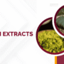 Best Kratom Extracts of 2025
