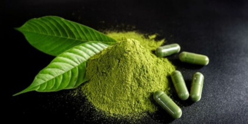 kratom alkaloid content