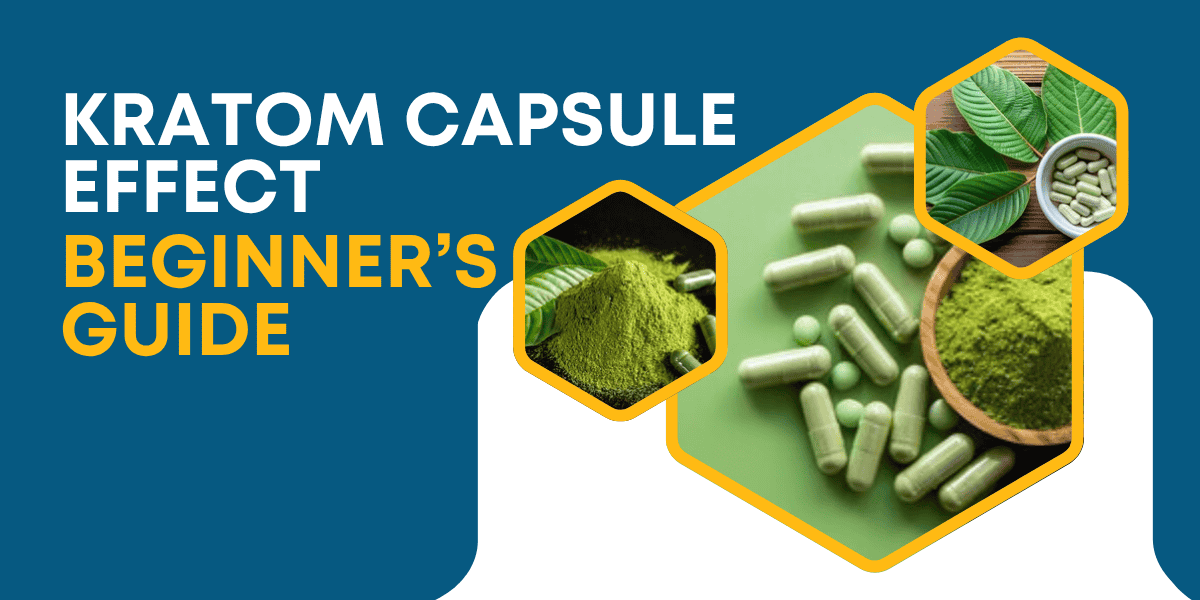 Kratom Capsule Effect: Beginner’s Guide