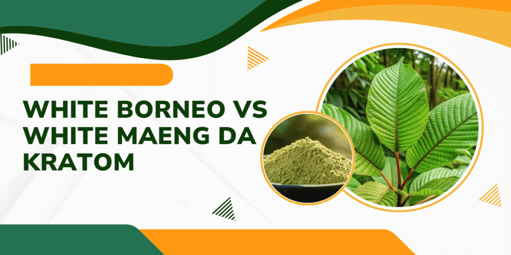 White Borneo vs White Maeng Da Kratom