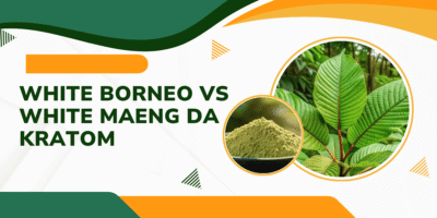 Comparing White Borneo vs White Maeng Da Kratom