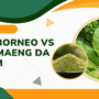 Comparing White Borneo vs White Maeng Da Kratom