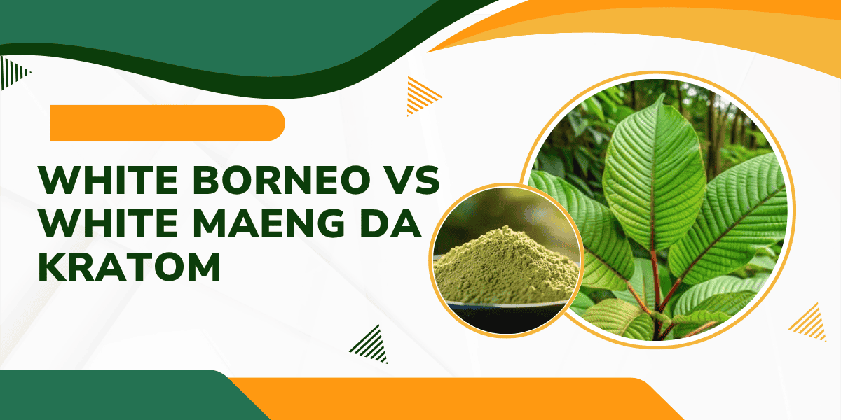 Comparing White Borneo vs White Maeng Da Kratom