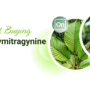 Benefits of Buying 7-Hydroxymitragynine In Bulk