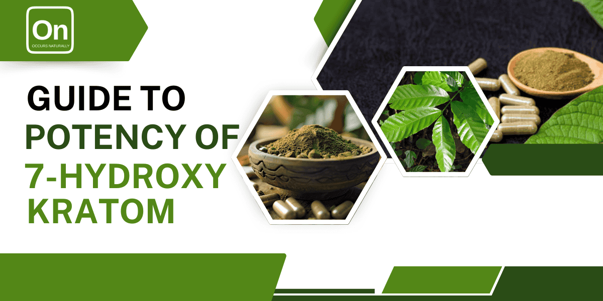 Guide To The Potency of 7-Hydroxy Kratom